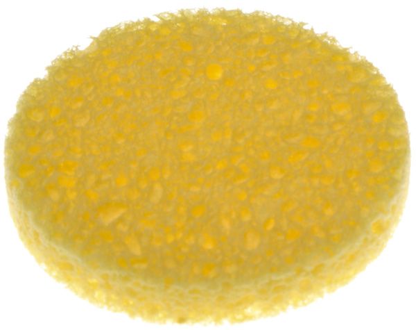 wd492dz33almd8s0l2jrjbbf9tlsx0vl