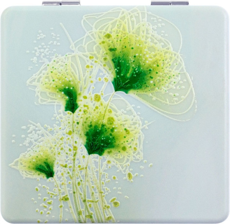 Фото Зеркало компактное Weisen NSA208, 7х7 см. (Зеркала карманные)