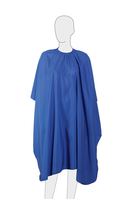 AA09Blue