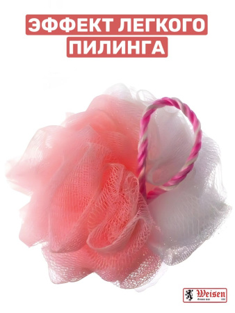 8bnv5nam1vf9xyysty0dip6yvjth1tq2