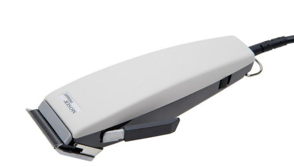 tezmtnfjf7vqkrfil0hxp2ji3qdvfwga