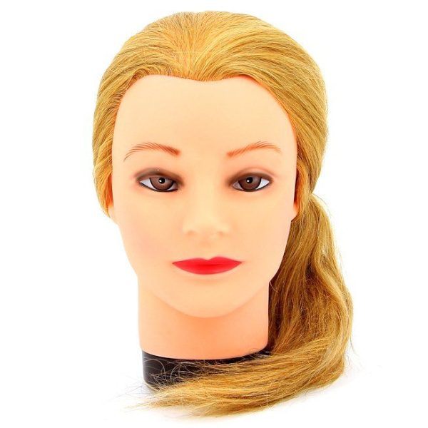 91z1hzto2xftzinx63la85fxi695r9vp