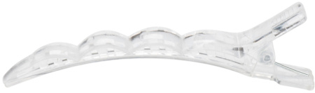 DBCH49transparent