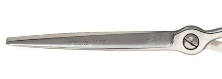 jan25o9rq9nkj9rmo3myblt6d8la6q73