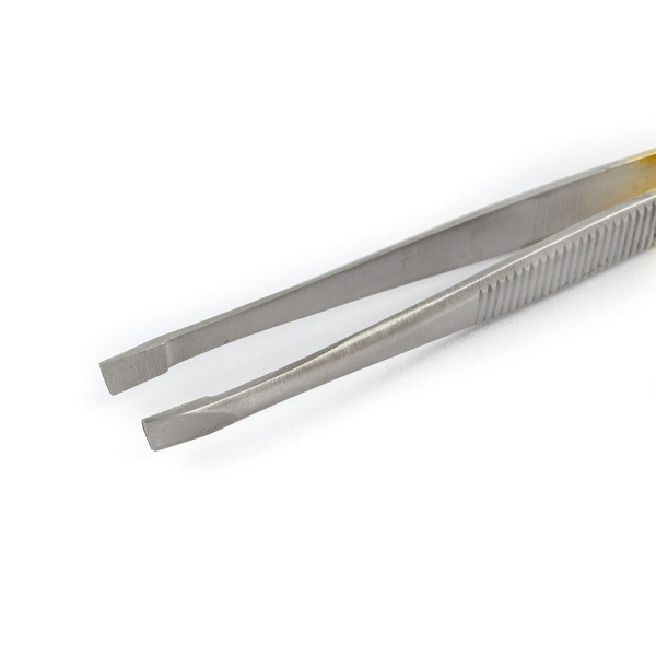 rj2r9urwsct20gm6dk9utqbujywo6cau