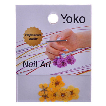 Сухоцвет для дизайна ногтей Yoko Y FLC 3