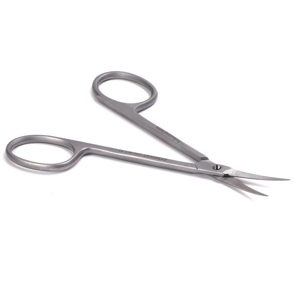 zbcs969maj8qmn64b6pc7x82kdtz5mwu