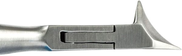 h4f3m0qip8otj2agz0lwov6y8741rifd