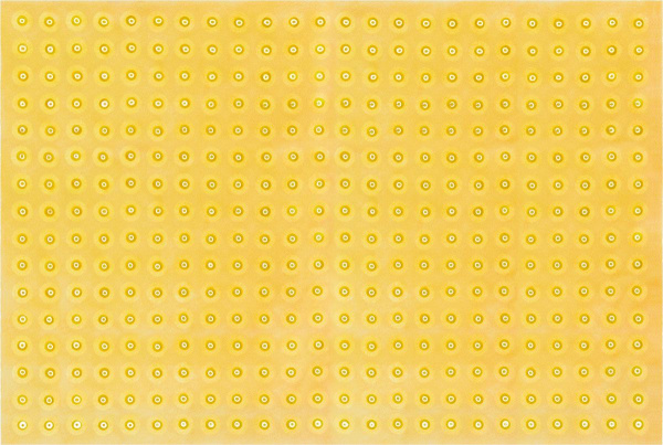 3t8qefn6ipbqf5z2dakw07skrzvp0i2v