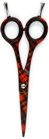 4w1jrnnk5jxhba7ds5z81fahbphmxqki