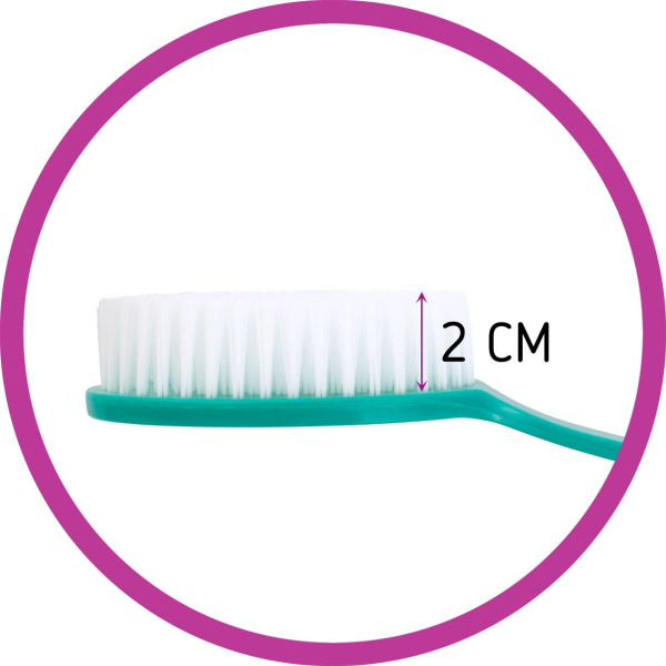 l4zxcwq81wch70glp2ax3m6im05saswe