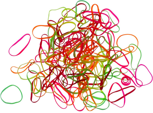 stelg5wpplyntf2ku75w0odbhqax7k0r