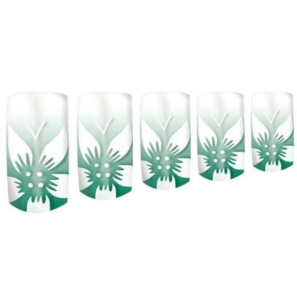 b5vjwrchrqgw0dmmytbjcr7yceqbdf2a