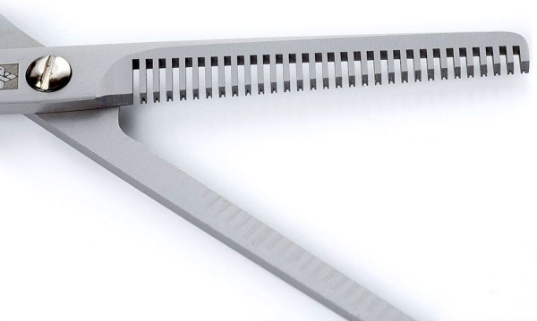 jmbk8zv8uupc29i1tnwvqd3yr1qxw6ho